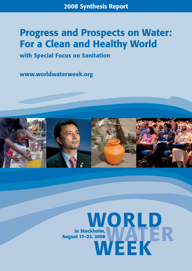 World Water Week 2008 Synthesis Report