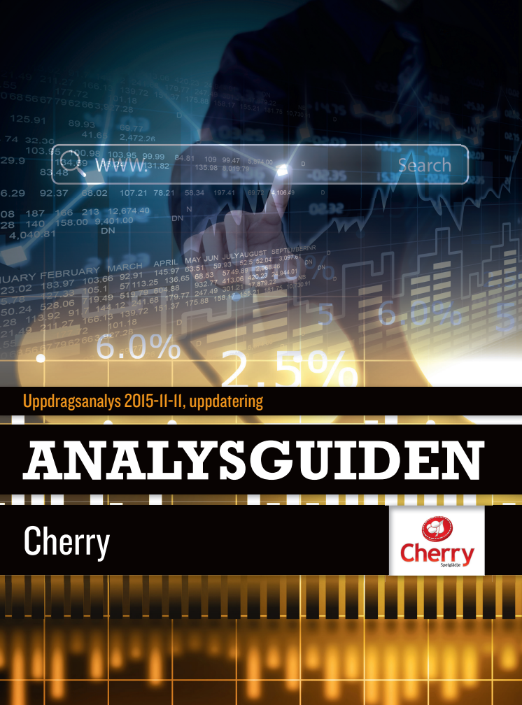 Analysguiden - Vinst inom alla affärsområden