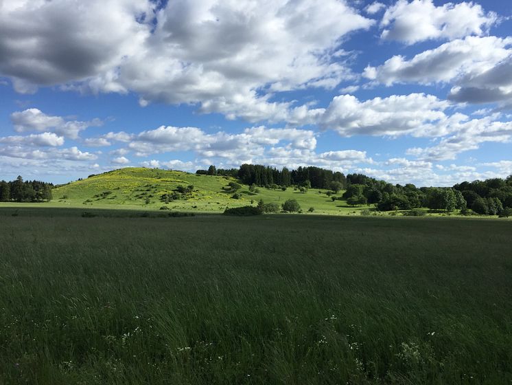 Granholmstoppen /Järva DiscGolfPark