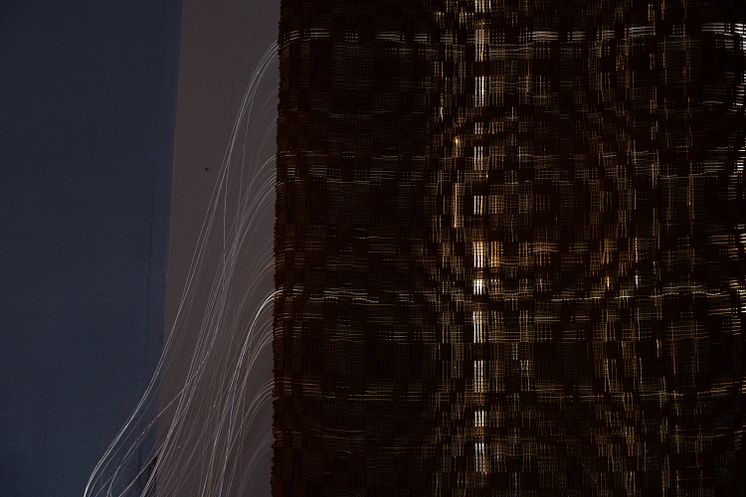 Honey Biba Beckerlee, Swarm Intelligence, 2021 