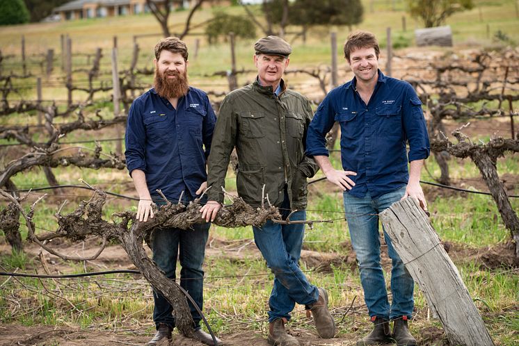 Peter, Tom and Sam Barry Armagh Vineyard 3