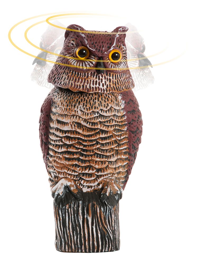 22325_GuardOwl_wobble.jpg