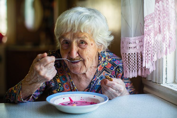 Nollvisionen för undernäring hos äldre