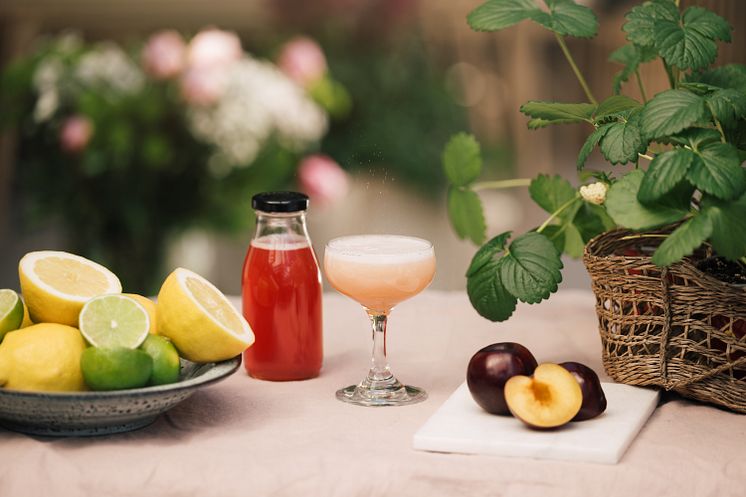 Sodastream_plommon_&_verjus
