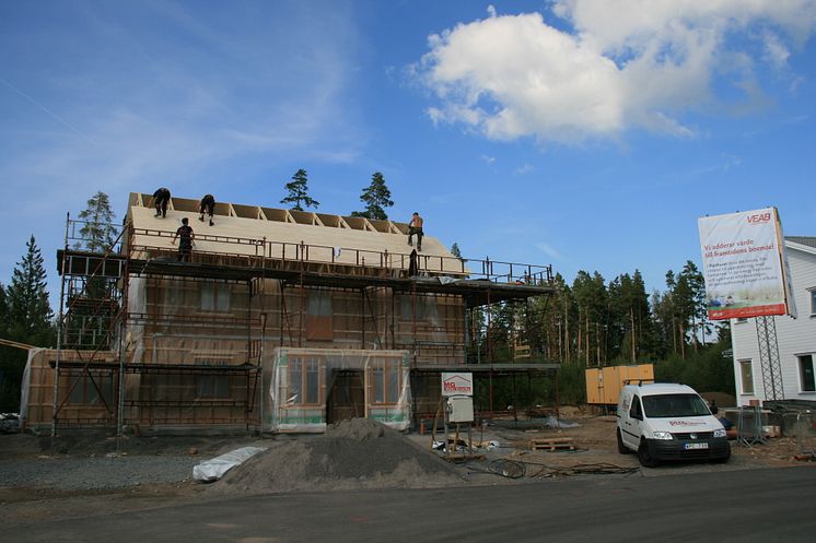 Miljösmarta hus,Åsaliden 5-nytt tak