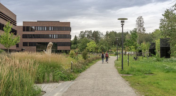 Campus Ås - Gangvei