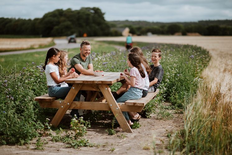 Visit Halland-ängen. Foto Alexander Hall jpg