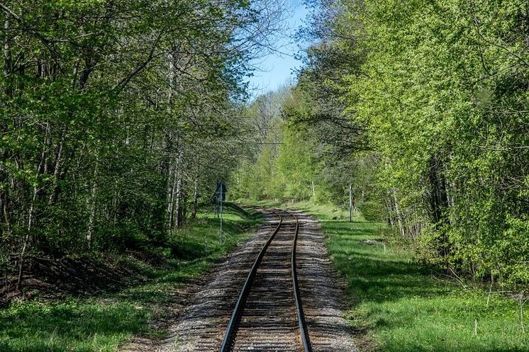 Sveriges vackraste tågresa bild 8  -  Skogsbild