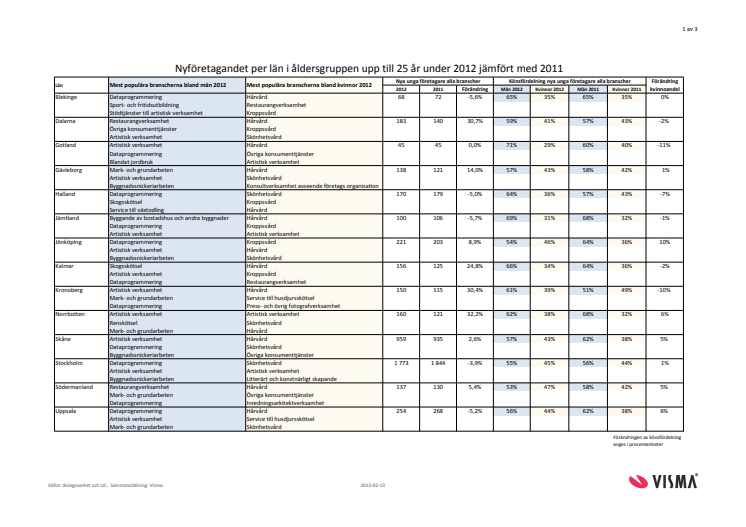 Vismas rapport över nyföretagandet bland unga 2012