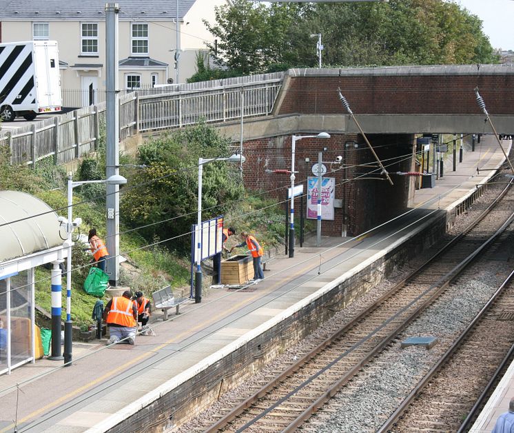 Royston station gardening