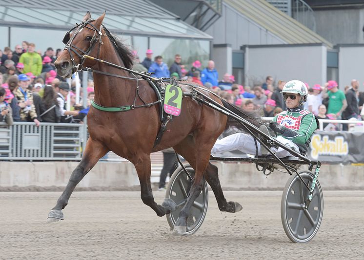 Resolve heat Elitloppet Benders 2016