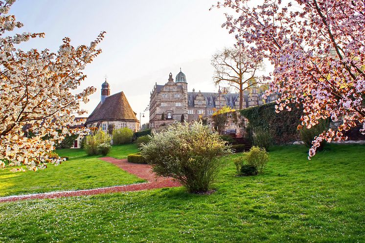 Schloss Hämelschenburg_Kirschblüte.jpg