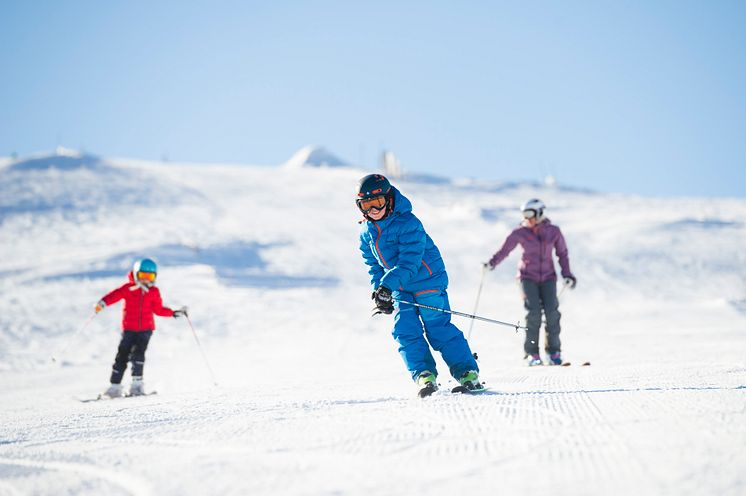 Skidåkning i fjällen