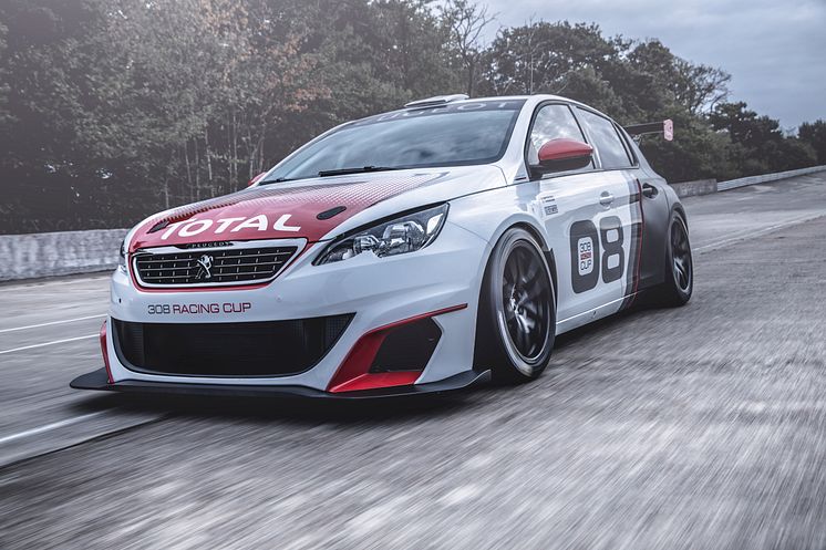 PEUGEOT 308 Racing Cup: Skabt til race!