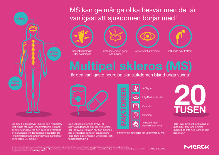 Infografik MS