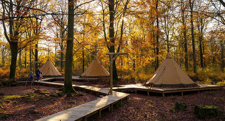 Camp Oak - övernatta mitt i höstmyset