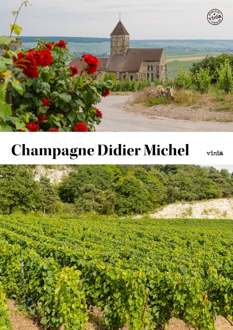 Champagne Didier Michel - En artikel om årgångs- och områdesbetecknad Grand Cru, Blanc de Blanc