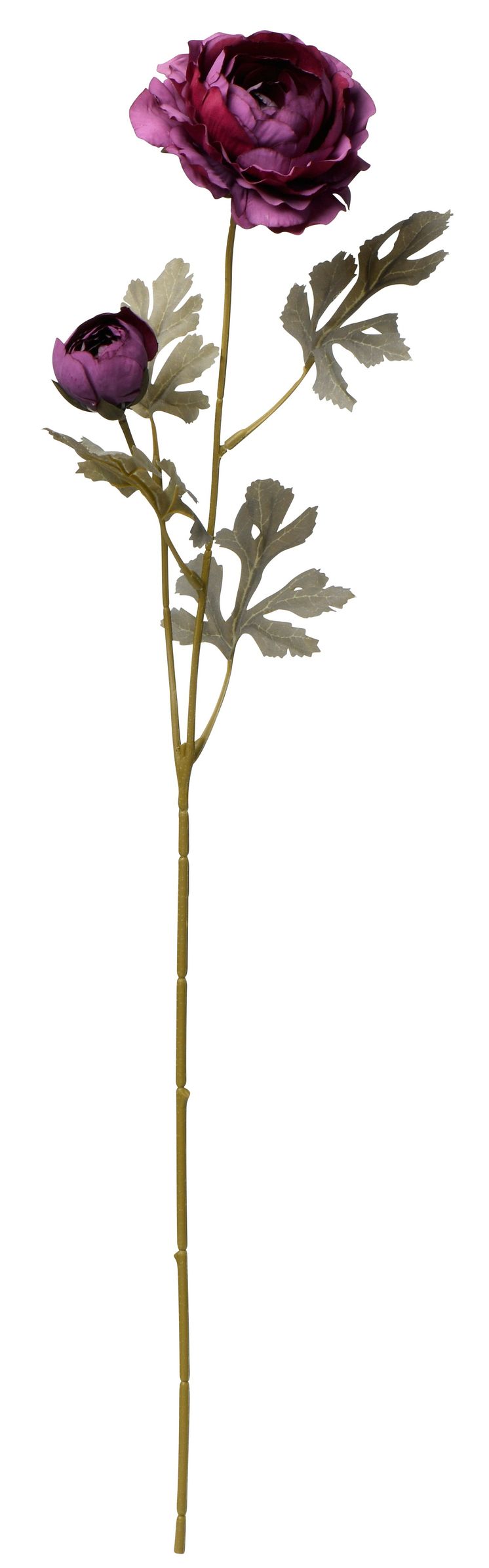 NYHET! Ranunculus 60 cm Purple Artificial material 2,99 EUR.jpg