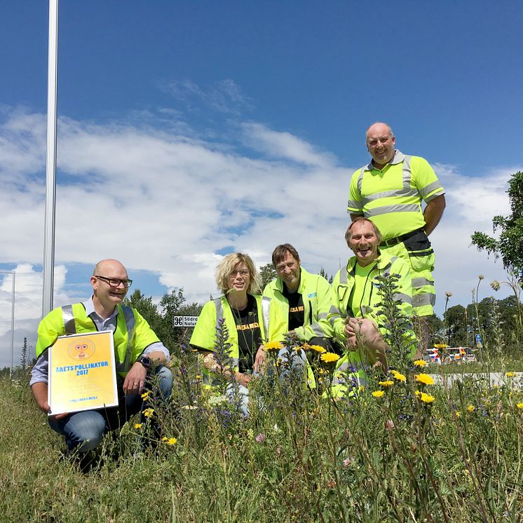 Årets Pollinatör 2017: Trafikverket på Gotland