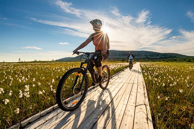 Trailcykling sommar