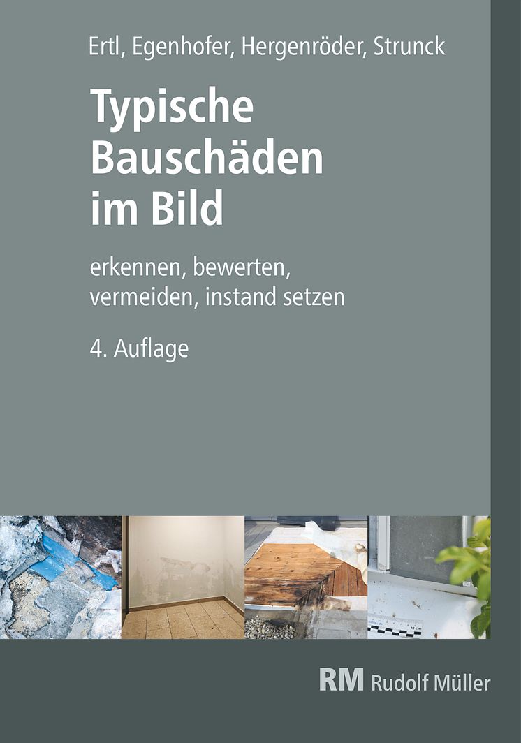 Typische Bauschäden im Bild, 4. Auflage (2D/tif) 