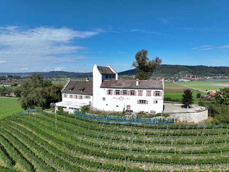 Schloss Schwandegg
