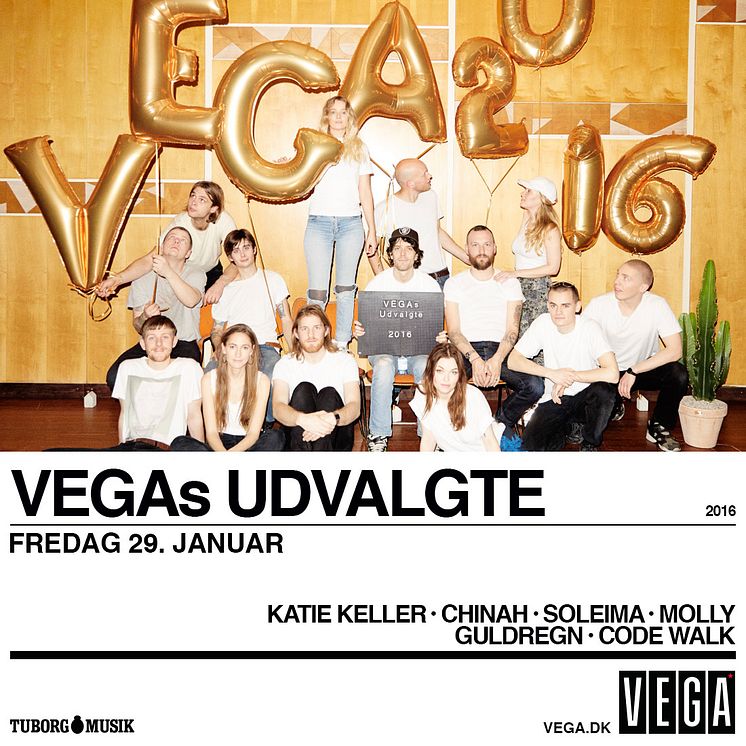 VEGAs Udvalgte Instagram-format 