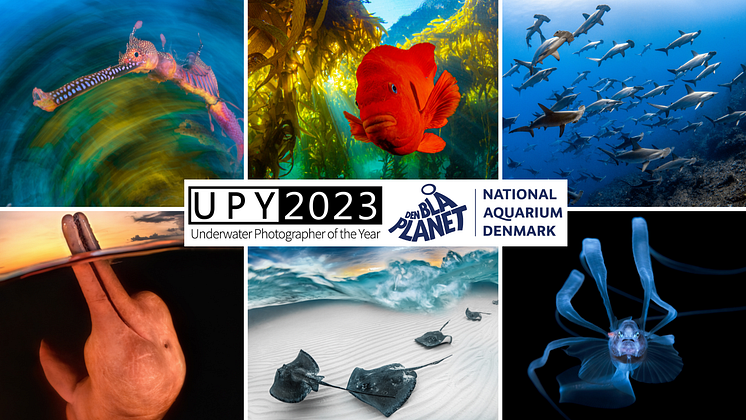 UPY 2023