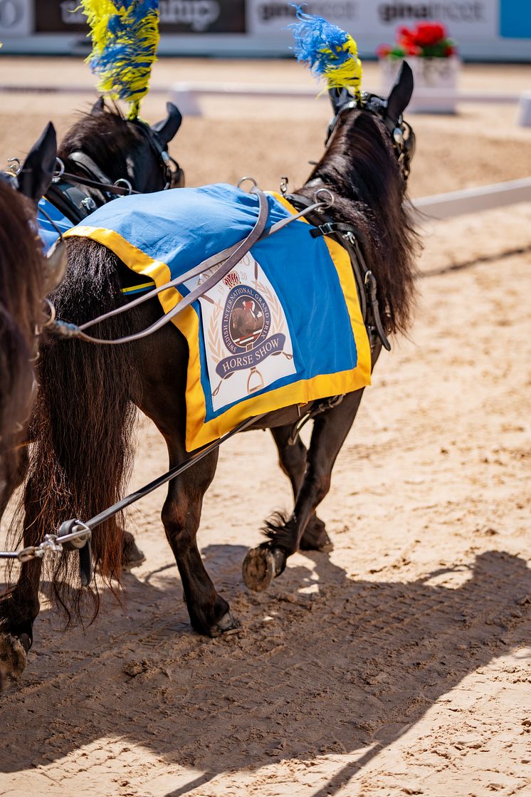 Invigning Falsterbo Horse Show 2023