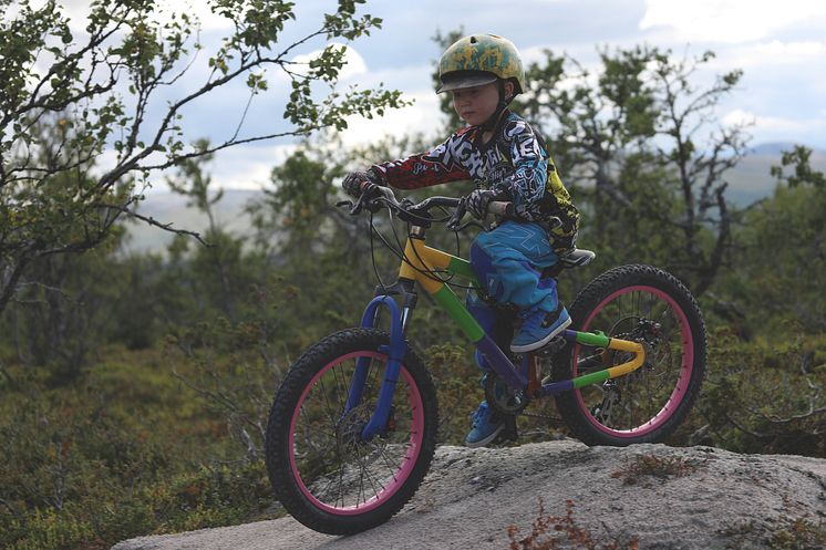 Stigcykling i Lofsdalen 04_Emil Sergel