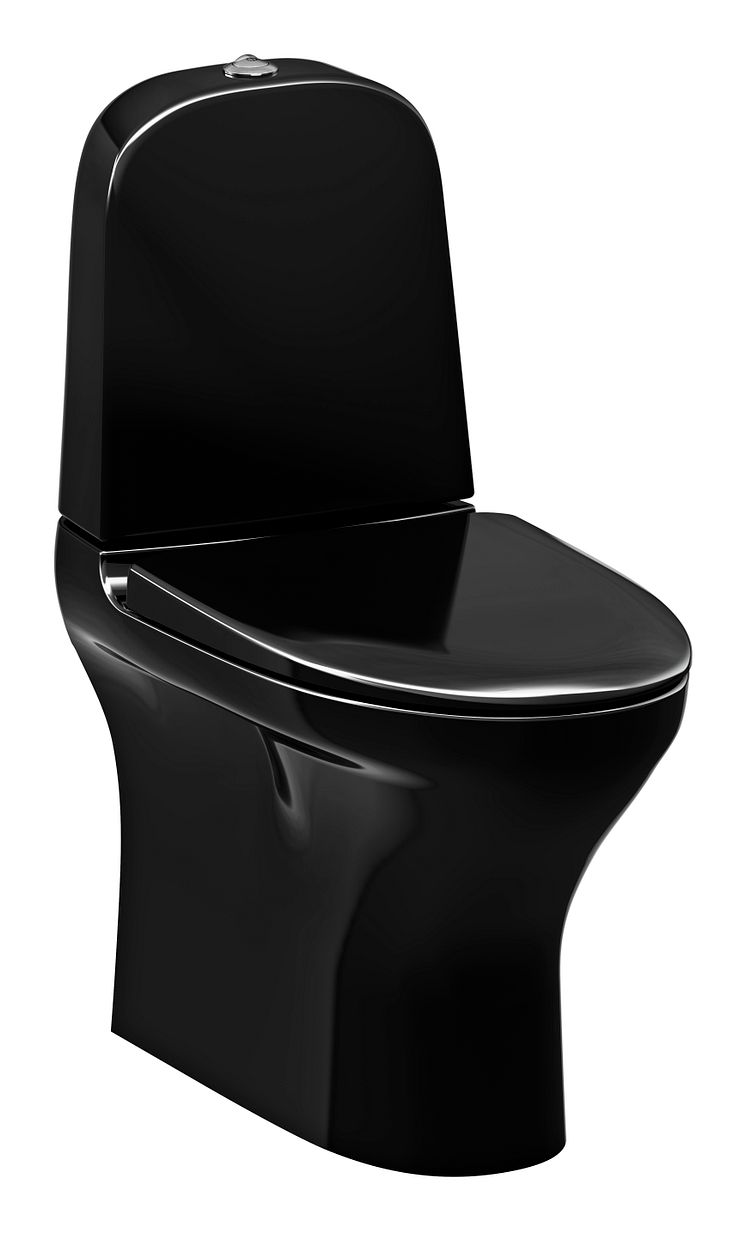 Estetic wc black