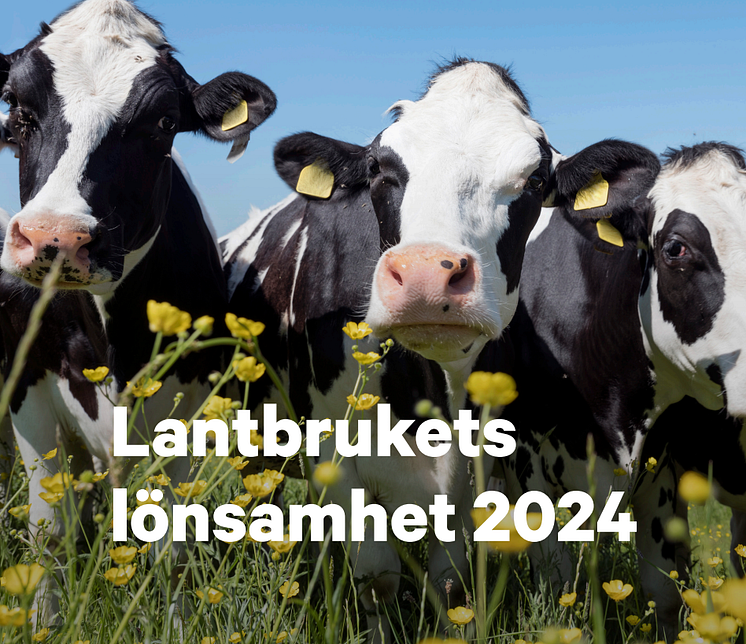 Framsida Lantbrukets Lönsamhet 2024.PNG