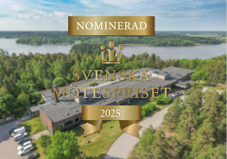 svenska mötespriset (1).PNG