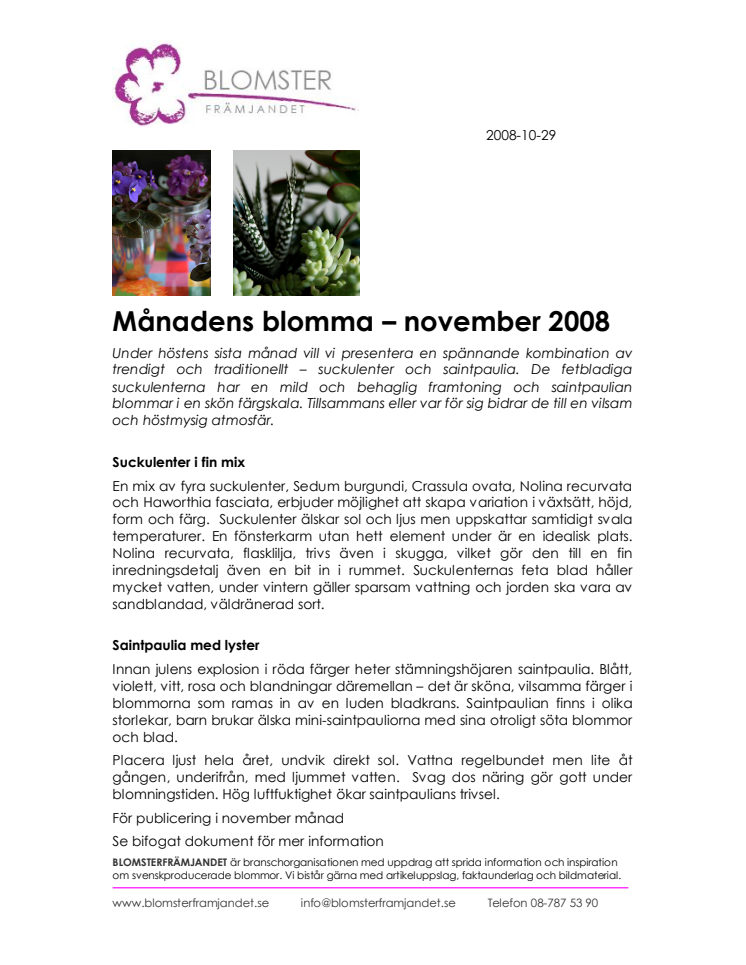 Månadens blomma – november 2008