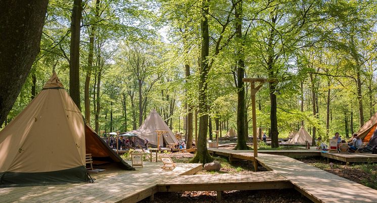 Camp Oak