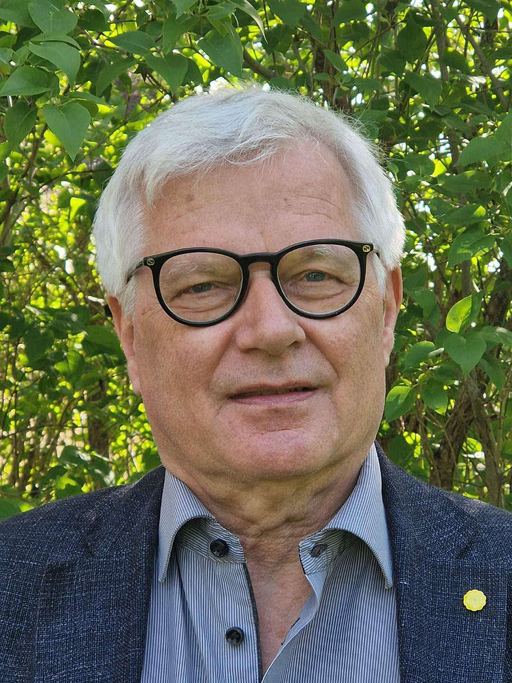 Johan Svedjedal