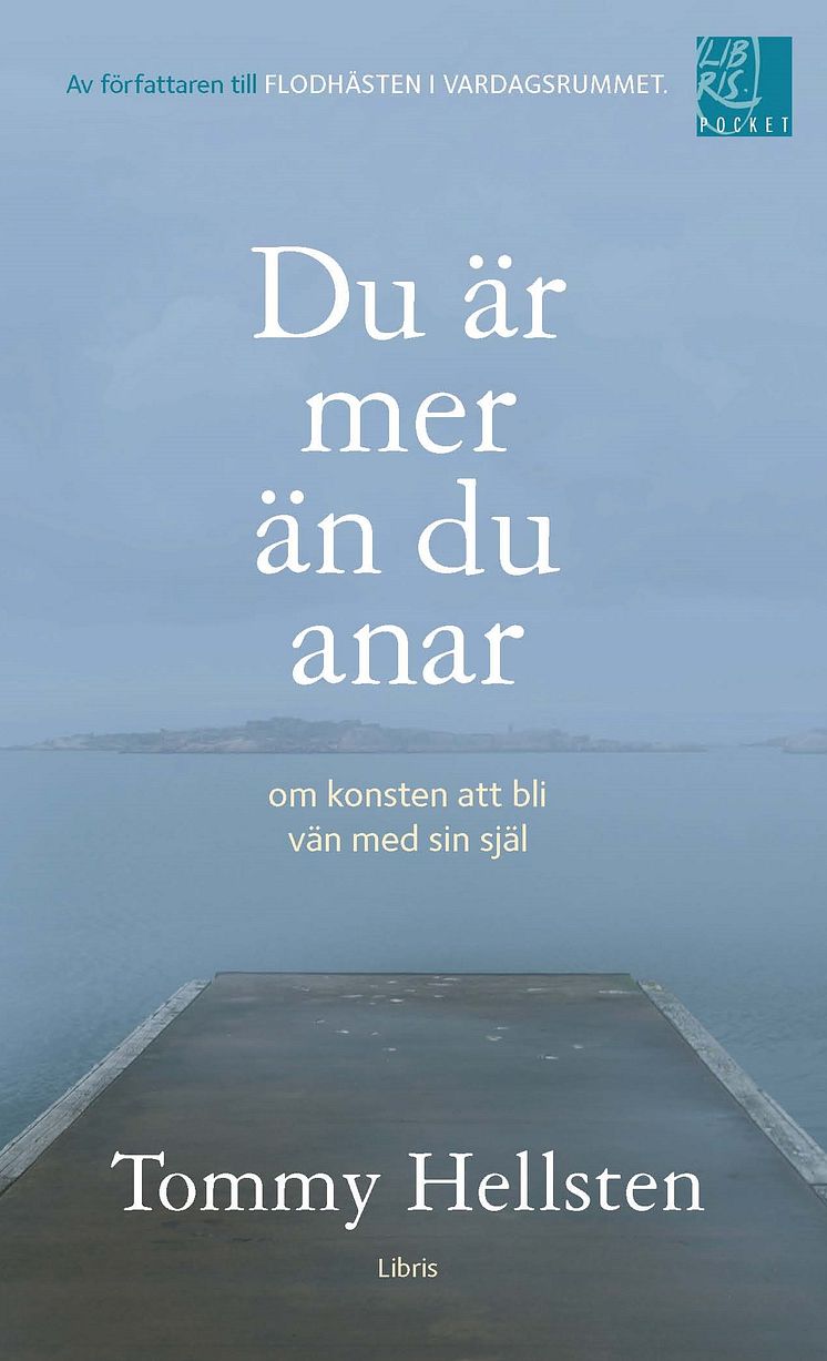 Omslagsbild: Du är mer än du anar (pocket)