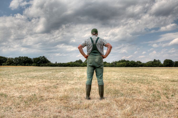 Wie erleben Sie den Klimawandel? | Universität Vechta sammelt persönliche Erfahrungen in Niedersachsen