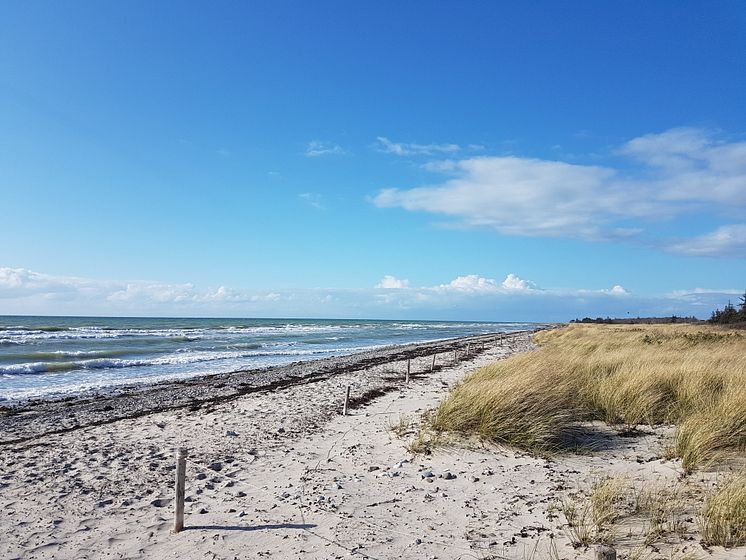 Strand in Püttsee