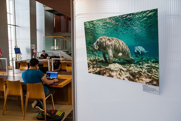 „Aquatische Begegnungen“ in der Wildauer Hochschulbibliothek