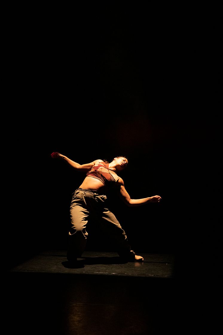 Company Nicolas Huchard - The barefoot diva