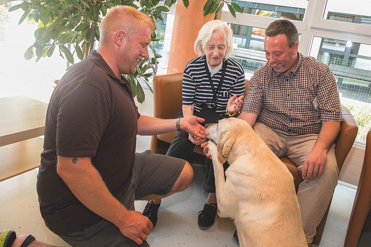 Therapiehund im Einsatz