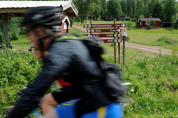 Nyheter inför CykelVasan – miljonbelopp har investerats i VasaloppsArenan