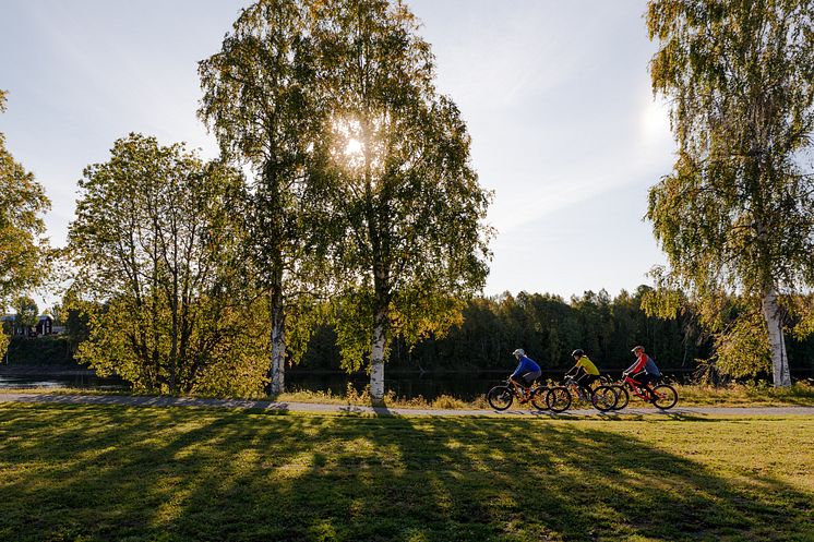 Cykling Umeå