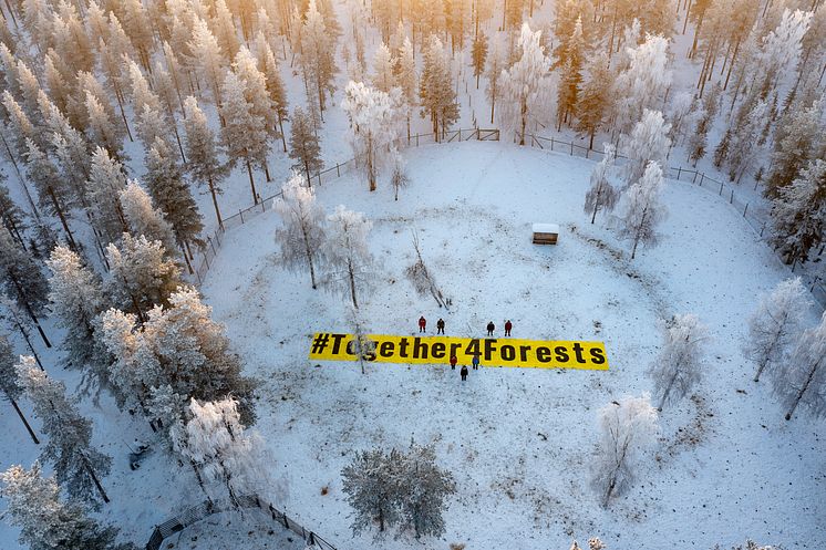 Sweden_Greenpeace_Jason_White 3.jpg