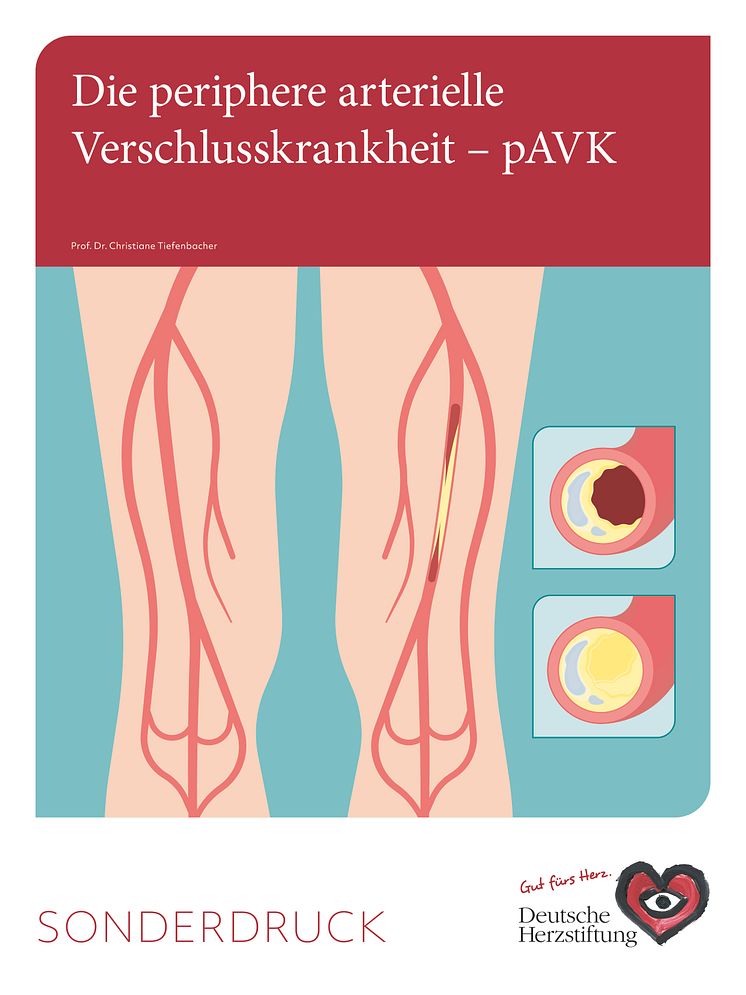 DHS_Cover_pAVK-Broschüre_2025.jpg