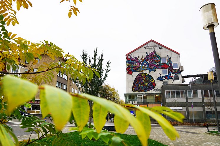 Muralmålning i Uddevalla av Caroline Falkholt till minne av Robert Strängen Dala Dahlqvist 2