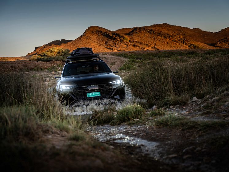 Audi Q8 e-tron edition Dakar