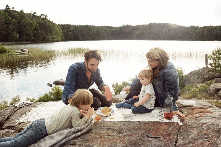 Picknick i Äskhults by.jpg