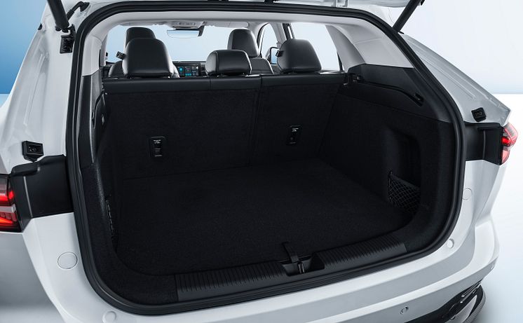 Trunk-4.jpg